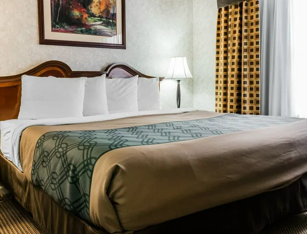 Econo Lodge & Suites Grand Rapids Airport hotel detail image 4