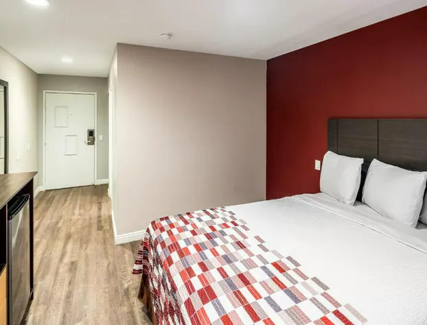 Red Roof Inn St George, UT - Convention Center hotel detail image 4