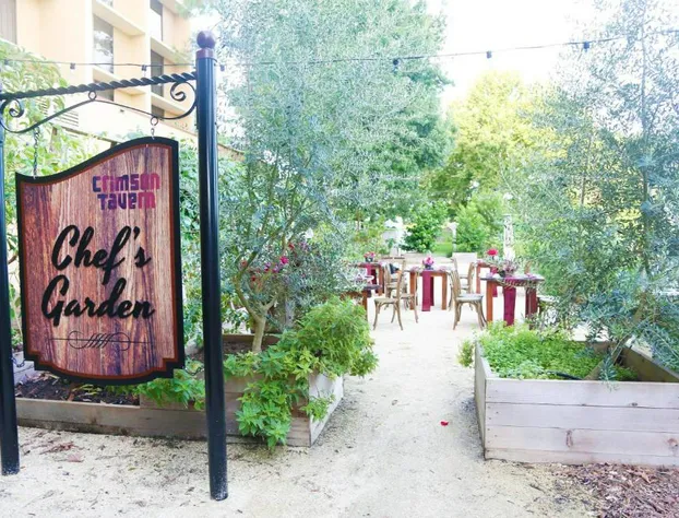 Marriott Orlando Airport Lakeside hotel detail image 1