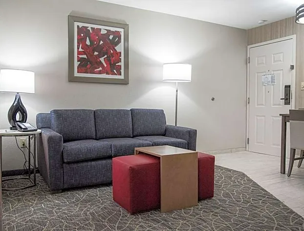 Homewood Suites by Hilton Atlanta-Peachtree hotel detail image 4