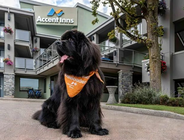 Accent Inns Kelowna hotel detail image 2