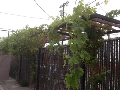 Monterey Inn Hotel hotel detail image 2