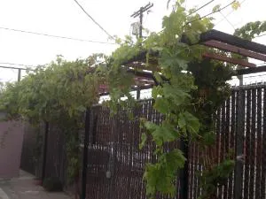 Monterey Inn Hotel hotel detail image 1