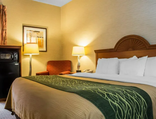 Quality Inn & Suites hotel detail image 4