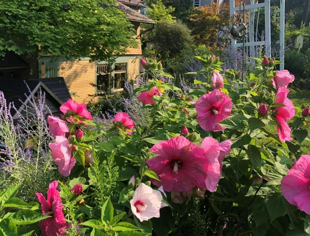 The Queen, A Victorian Bed & Breakfast hotel detail image 3