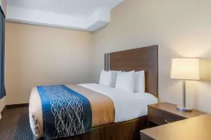 Comfort Inn & Suites hotel detail image 1