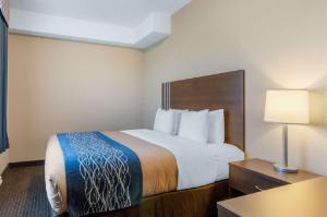 Comfort Inn & Suites hotel detail image 1
