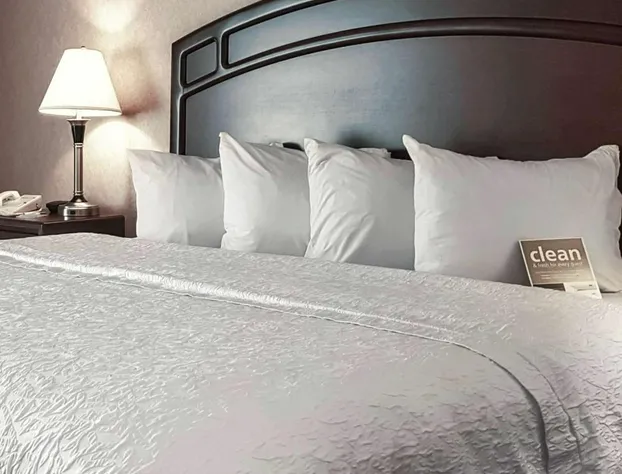 Hampton Inn & Suites by Hilton Edmonton Intl Airport hotel detail image 4