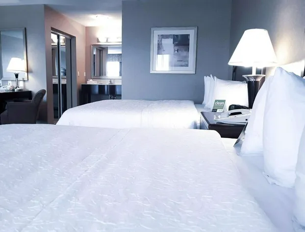 Hampton Inn & Suites by Hilton Edmonton Intl Airport hotel detail image 4