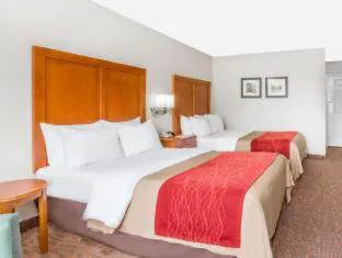 Days Inn by Wyndham Williamsburg Historic Area hotel detail image 3