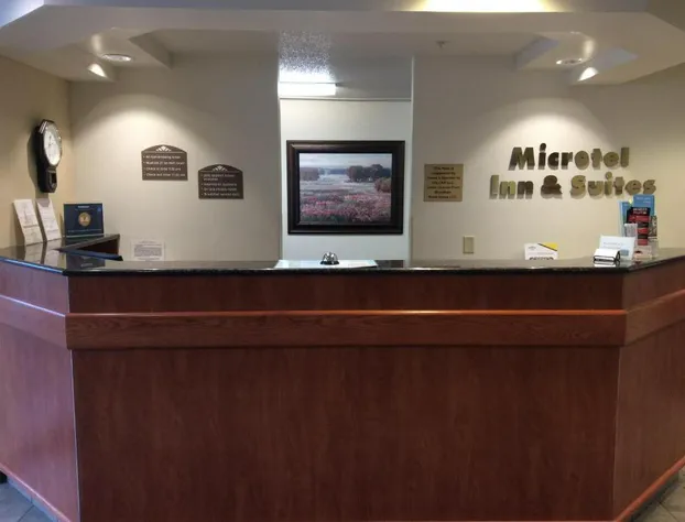 Microtel Inn & Suites by Wyndham Rice Lake hotel detail image 3