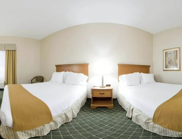 Holiday Inn Express Hotel & Suites Sylacauga by IHG hotel detail image 3