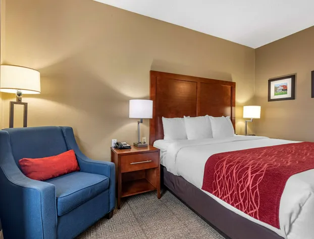 Comfort Inn DFW Airport North hotel detail image 4