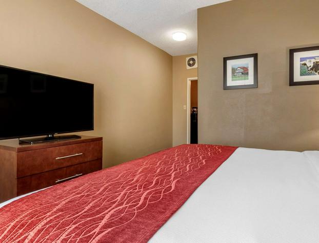 Comfort Inn Dfw Airport North hotel detail image 4