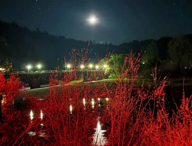 Highland Dell Lodge hotel detail image 3