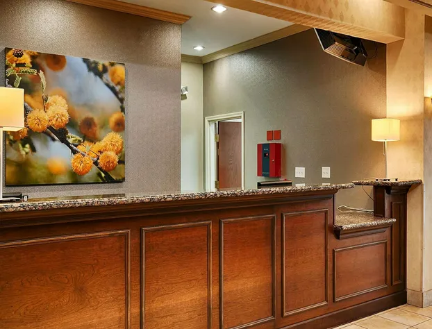 Comfort Inn & Suites hotel detail image 2