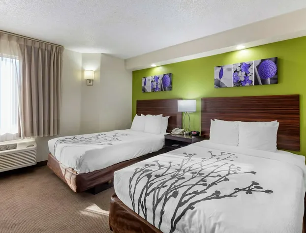 Sleep Inn near Busch Gardens/USF hotel detail image 4