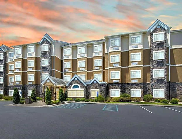 Microtel Inn & Suites by Wyndham Opelika hotel detail image 2