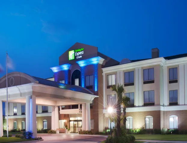 Holiday Inn Express Hotel & Suites Orange by IHG hotel detail image 3