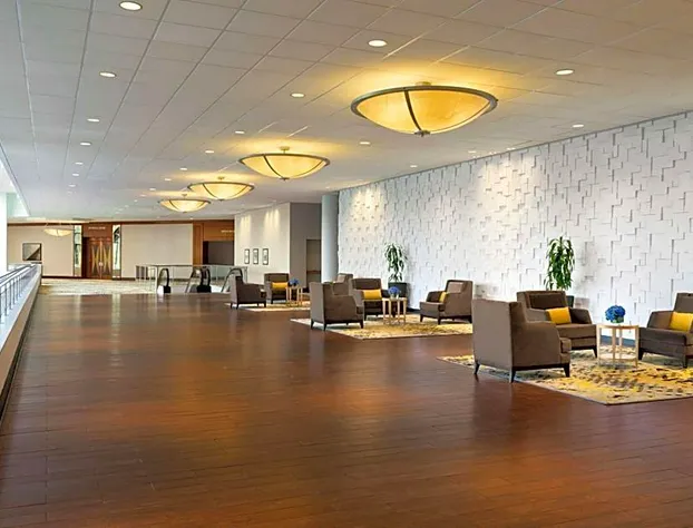 Hilton Stamford Hotel & Executive Meeting Center hotel detail image 3