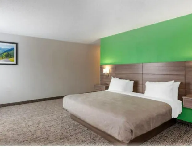 Quality Inn Ripley hotel detail image 2