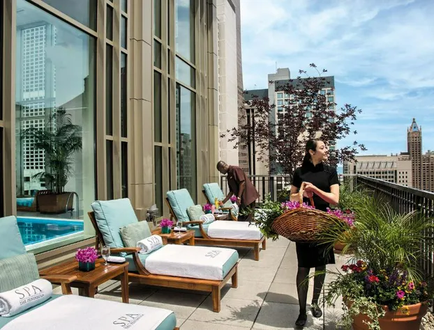 The Peninsula Chicago hotel detail image 1