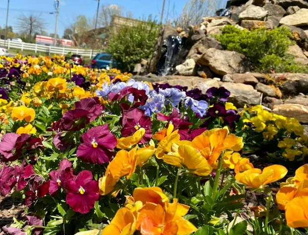 Country Inn & Suites by Radisson, Jackson, TN hotel detail image 2