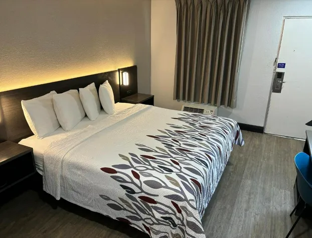 Red Roof Inn Wildwood, FL - The Villages hotel detail image 4