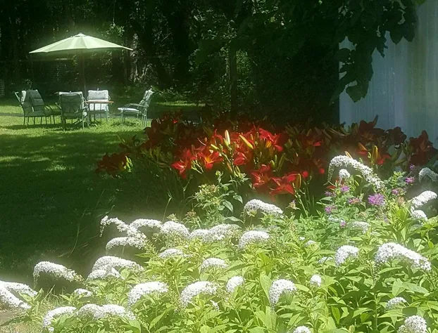 Haven Point Inn hotel detail image 4