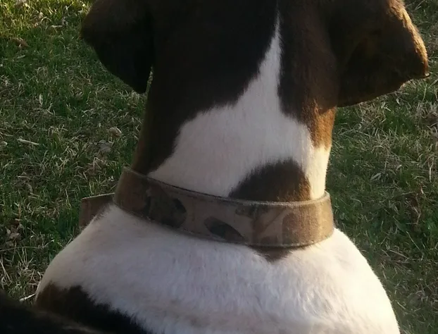 Spark by Hilton Moline Quad Cities hotel detail image 4