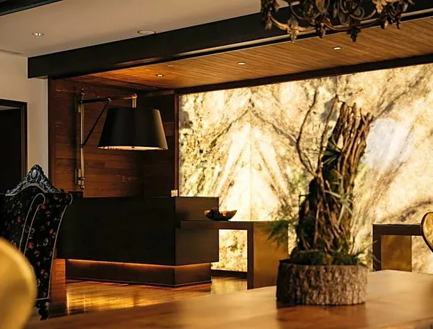 Grand Bohemian Mountain Brook, Autograph Collection hotel detail image 4