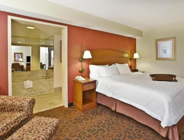 Hampton Inn Anderson hotel detail image 2