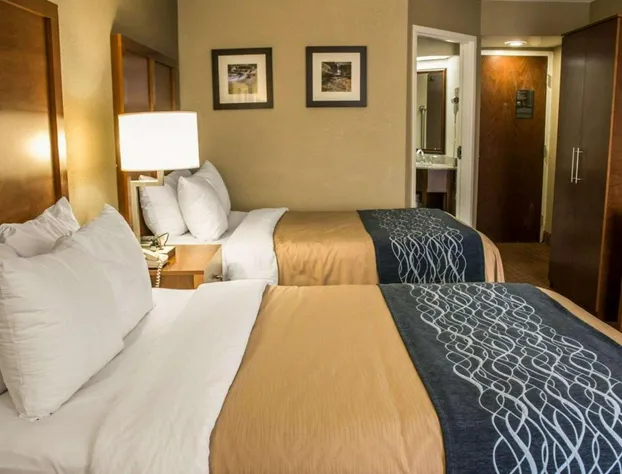 Quality Inn hotel detail image 3