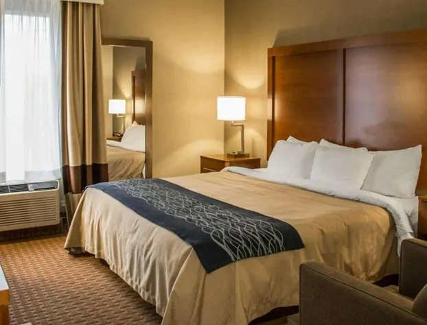 Quality Inn hotel detail image 4