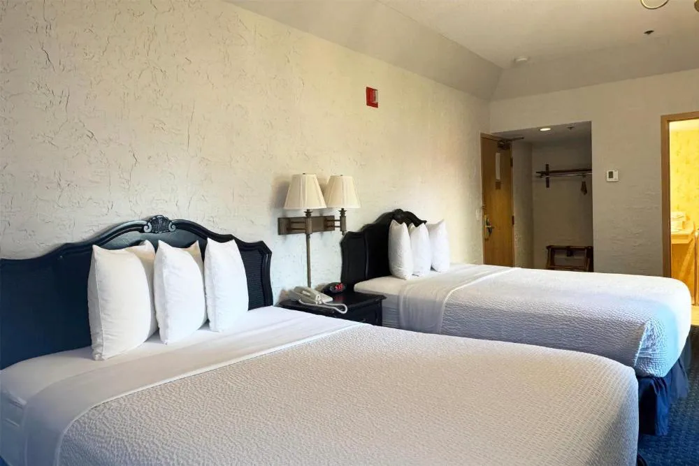 Chateau Hotel and Conference Center hotel hero