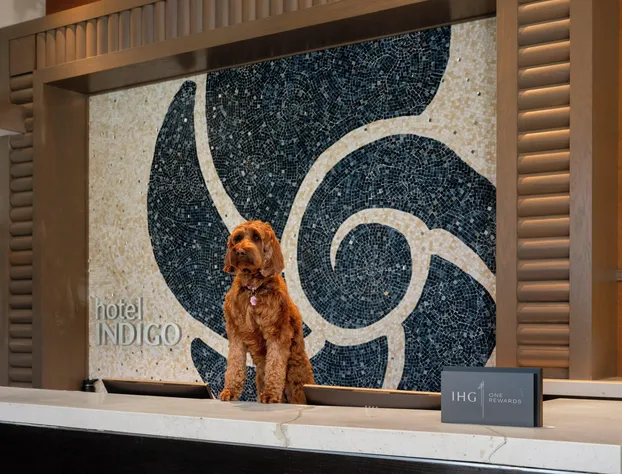 Hotel Indigo Long Island - East End by IHG hotel detail image 4