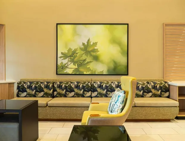 Wyndham Garden McAllen at La Plaza Mall hotel detail image 3