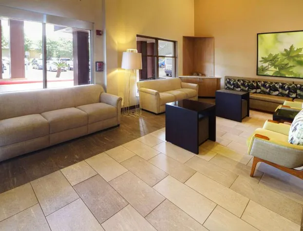 Wyndham Garden McAllen at La Plaza Mall hotel detail image 2