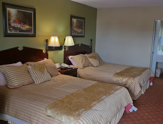 Legacy Inn & Suites hotel detail image 3