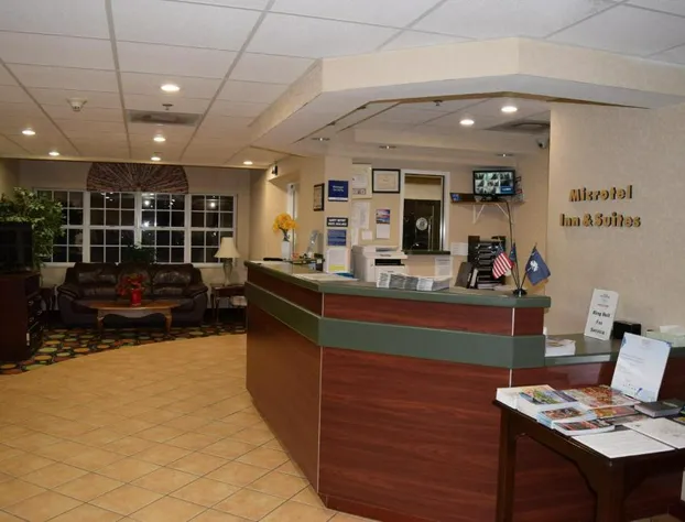 Microtel Inn & Suites by Wyndham Rock Hill/Charlotte Area hotel detail image 3