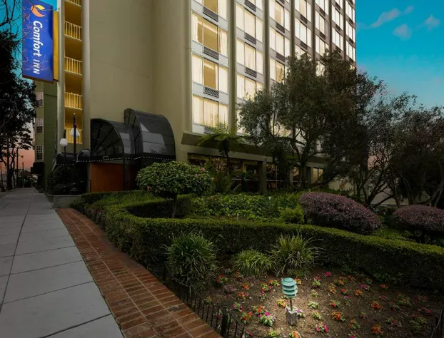 Comfort Inn by the Bay hotel detail image 2