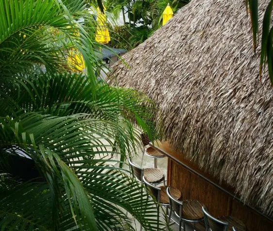 Dolphin Key Resort hotel detail image 1