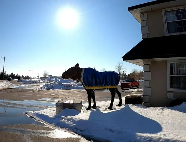 Quality Inn & Suites hotel detail image 1
