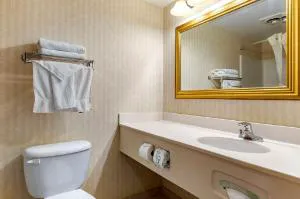 Quality Inn & Suites Manistique hotel detail image 3