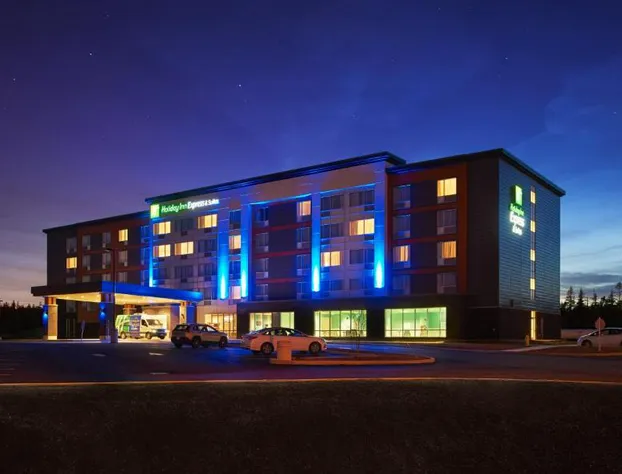 Holiday Inn Express & Suites St John's Airport by IHG hotel detail image 1