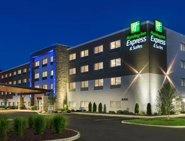 Holiday Inn Express & Suites Medina by IHG hotel detail image 1