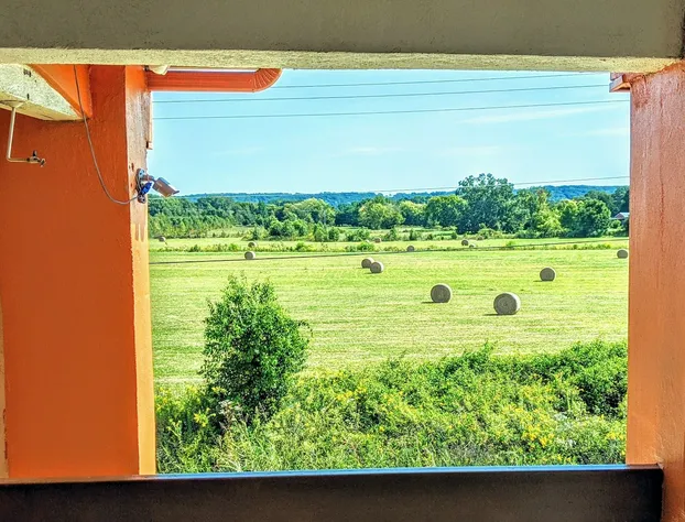 Quality Inn & Suites Decatur - Priceville I-65 hotel detail image 3