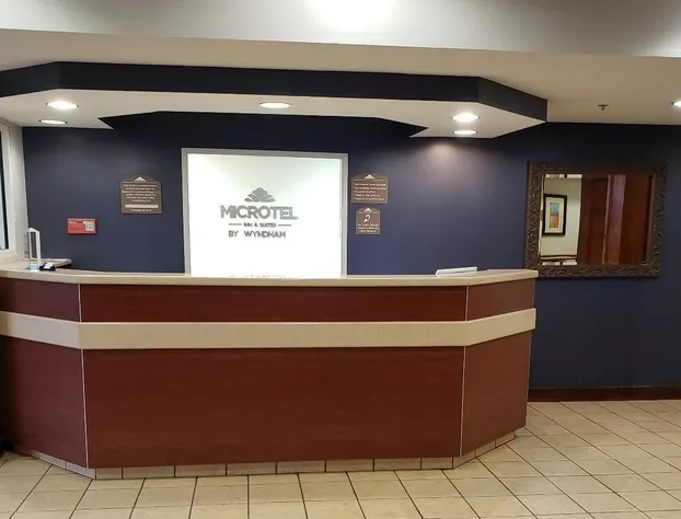 Microtel Inn & Suites by Wyndham Starkville hotel detail image 1