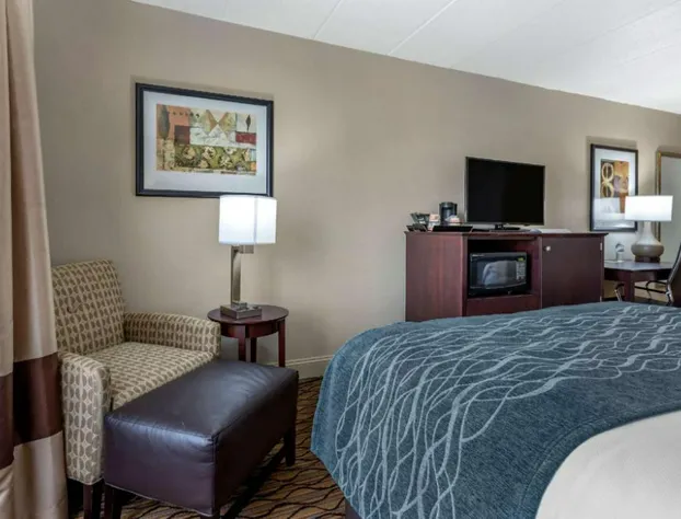 Comfort Inn & Suites Glen Mills - West Chester hotel detail image 2
