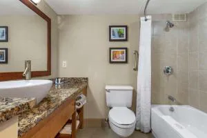 Comfort Inn & Suites Glen Mills - West Chester hotel detail image 4